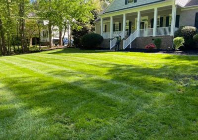 Lawn service 16