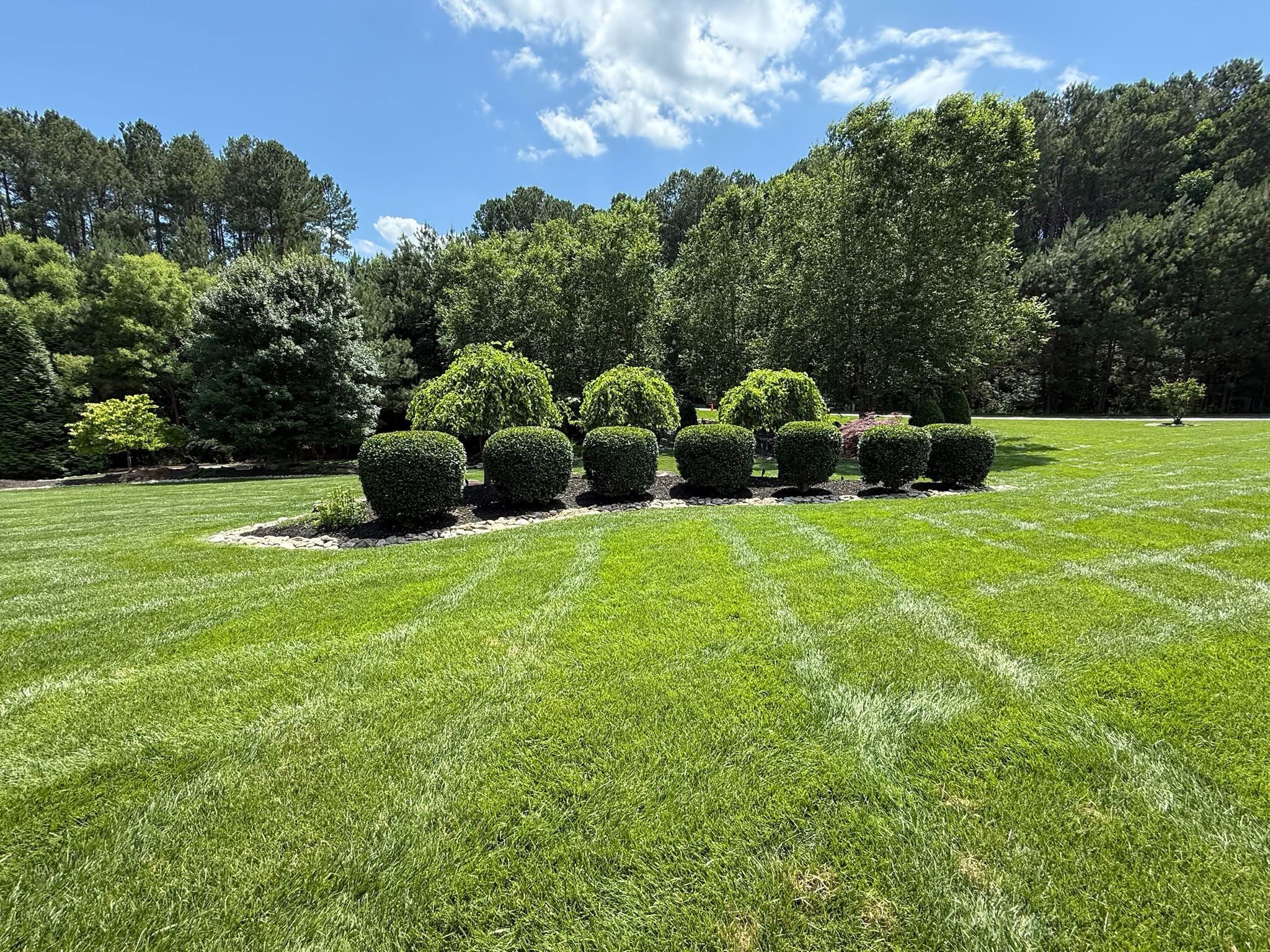 Landscaping project 20