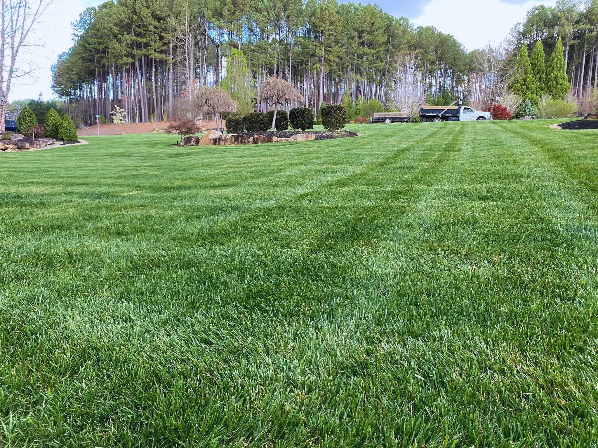 Landscaping project 22